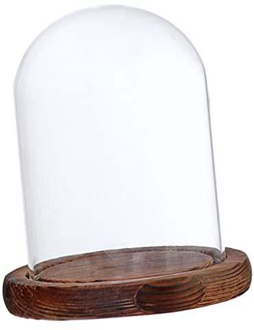 Fenteer Glashaube Glasglocke Glassturz mit Holzboden DIY Landschaften Fairy Garten Terrarium, Braun B