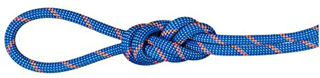 Mammut 7.5 Alpine Sender Dry Half & Twin Rope