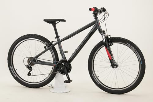 Bulls Pulsar Eco 26 Zoll Jugend-MTB 18-Gang Kettenschaltung grau
