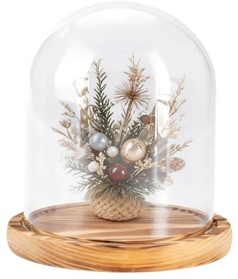 Hanlintk Glas Display-Glocke mit Holzfuß - Klare Glasglocke für Pflanzen, Kuriositäten, Erinnerungsstücke & Erbstücke, Viktorianischer Ausstellungsdom