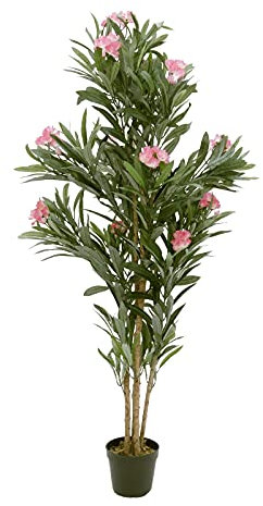 Europalms 82507247 Oleander Tree, Pink, 150 cm