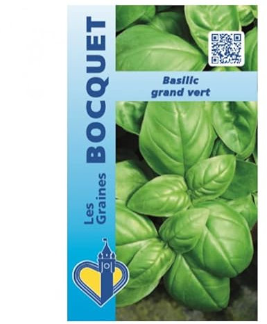 Sachet de graines de Basilic Grand Vert - 1 g - légume feuille - LES GRAINES BOCQUET