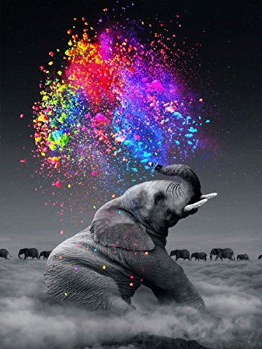 Orsit 5D Diamond Painting Kit de Peinture Bricolage Artisanat Maison Décoration Murale -L'éléphant（12x18inch/30x45CM）