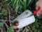 Surdefens Blumenkelle, Rot, Edelstahl, Flacher Spaten, Schaufel, Spade