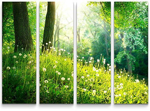 Paul Sinus Art Leinwandbilder | Bilder Leinwand 130x90cm 4 Teile Pusteblumen im Wald