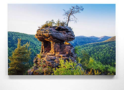 Atemberaubendes Leinwandbild vom Pfälzerwald im XXL Format 120x80cm. Motiv die Kiefer als großes Wandbild. Fertig aufgespannt auf Holzrahmen. Als Hintergrund und Deko für Wohnzimmer & Schlafzimmer