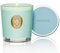 M&SENSE Duftkerzen im Glas Wilde Minze,290g Candle Duftkerze Natürliche Soja-Kerze,Bunte Kerzengeschenke für Frauen & Männer,Aromatherapie Kerze zur Entspannung,10.2 oz 55 Stunden Brenndauer