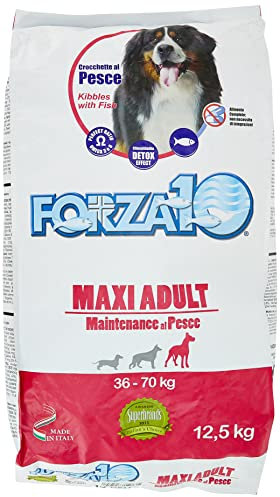 Forza10 Maxi Fisch Futter Hund Trocken Premium 12.5 kg