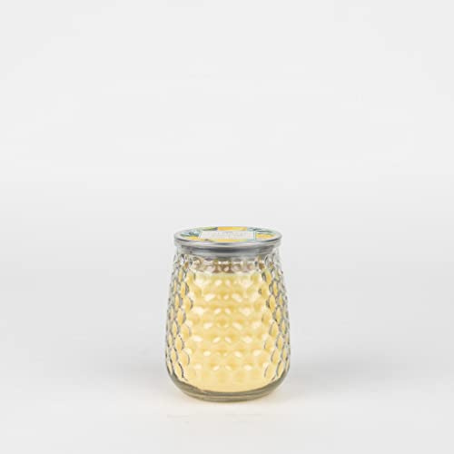 Greenleaf Citron Sol Duftkerze 369g