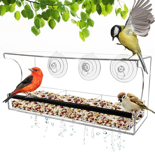 Transparent Fenster Futterhaus für Vögel: WIYETY Fenster Vogelfutter mit Saugnäpfen & Abflusslöcher, Vogelhaus Fensterscheibe mit Abnehmbar Futterspender, Futterhaus Fenster - 30 x 10 x 14 cm