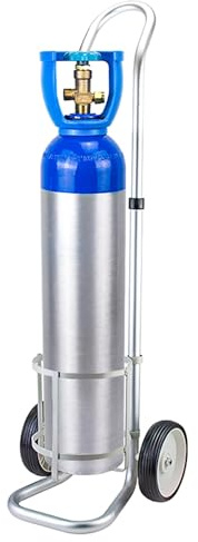 Oxygen Tank Cart on Wheels, Portable Rolling Cylinder Carrier for Gas, Nitrogen, Acetylene Bottles, Storage Rack for Clinics and RVs, Holds ≤ 20L