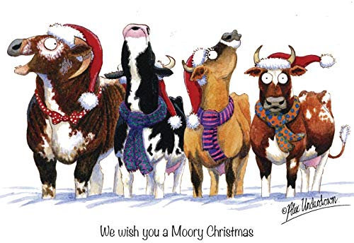 Weihnachtskarte, Motiv: Rind oder Kuh. Alex Underdown We Wish You a Moody Christmas