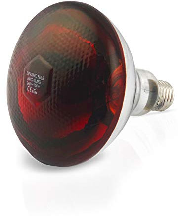 fratrisPRO Infrarotlampe 175 Watt E27 aus Hartglas - Küken, Kaninchen, Ferkel, Hundewelpen, Hühnerstall