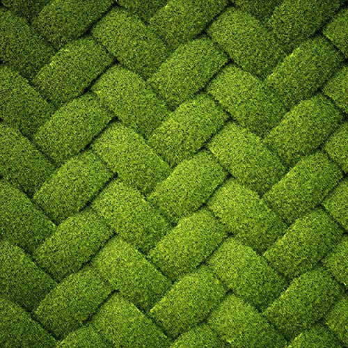 HEKO PANELS Stoff Oxford Wasserdichte Meterware Canvas-Stoff Polyester Stoff Zum Nähen Nähstoffe Möbelstoffe Dekostoffe Handwerken Wasserabweisend Blickdicht Gras Geometrisch 2 Meter 155 x 200 cm