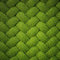 HEKO PANELS Stoff Oxford Wasserdichte Meterware Canvas-Stoff Polyester Stoff Zum Nähen Nähstoffe Möbelstoffe Dekostoffe Handwerken Wasserabweisend Blickdicht Gras Geometrisch 2 Meter 155 x 200 cm