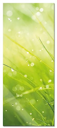 Pixxprint Glasbild Panorama, Wandbild aus Echtglas, Nasses Gras, 100x40 cm, inkl. Aufhängung und Abstandshalter