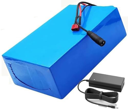 48V 60V 10Ah 15Ah 18Ah 20Ah Ebike-Akku Ebike Lithium Batterie 13S7P E-Fahrrad-Akku 48V Elektrofahrradakku für 200W 750W 1000W 1500W, für Elektrofahrrad/Roller mit Ladegerät 48V 10Ah,XT60