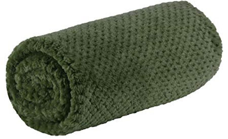 sourcing map Flannel Fleece Bed Blankets, Soft Warm Microfiber Blanket, Mesh Fuzzy Plush 330GSM Lightweight Decorative Solid Blankets for Bed Army Green 70 x 100cm