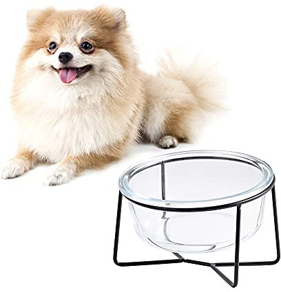 Gamelle Surélevée pour Chats et Chiots - Petit Bol en Verre avec Support Métallique - Capacité de 400 ML - Transparent