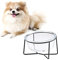 Gamelle Surélevée pour Chats et Chiots - Petit Bol en Verre avec Support Métallique - Capacité de 400 ML - Transparent