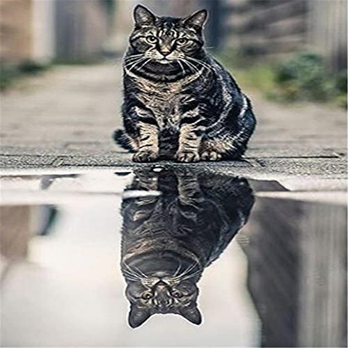 Yingxin34 Puzzle Grand Format de 2000 pièces Pour adultes - Chat Noir - Chaque pièce est Unique, la Technologie Softclick signifie que Les pièces s'emboîtent parfaitement 70x100cm (27.56x39.37inch)