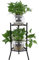 Qcwwy Marco para Plantas, Estante de Exhibición para Decoración del Hogar, Accesorios de Jardín, Soporte de Metal para Plantas de 2 Niveles, Soporte para Macetas (Negro)