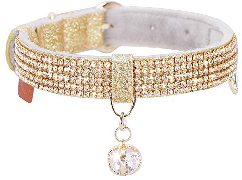 PetsHome Katzenhalsband, Hundehalsband, glitzernde Strasssteine, hochwertiges PU-Leder mit Anhänger, verstellbare Halsbänder für kleine bis mittelgroße Hunde, Größe M, Gold