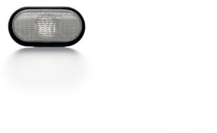 BSSTORE Optische Gruppe Seitenblinker, kompatibel mit CLIO | Kangoo | Twingo und viele andere Autos