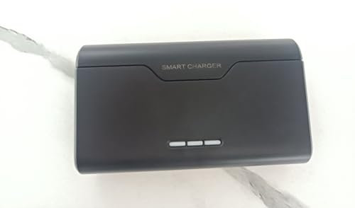 CITYORK Juego de cargador de batería para GoPro Hero 12/11/10/9, cargador de batería, batería de 2000 mAh (2 unidades) y 3 ranuras, con pantalla LCD y cable USB