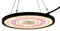 JOJIDE Pflanzenlampe, 100W 150W 200W Vollspektrum Pflanzenwachstumslicht UFO LED-Lampe Sonnenlicht Hohe PPFD For Indoor-Gewächshauszelt-Wachstumsbeleuchtung(100W,Sunlight)