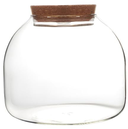 Terrario in vetro per piante, contenitore per piante da 1600 ml, con coperchio in sughero, grande barattolo con apertura per mini piante grasse paesaggistiche, display floreali