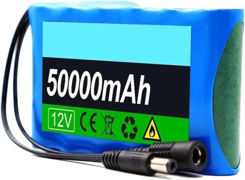 Lithium-Akku, 12 V, 50.000 mAh, für Ersatzgeräte, wiederaufladbarer Li-Ion-Akku, BMS integriert, mit Ladegerät (12 V, 50.000 mAh)