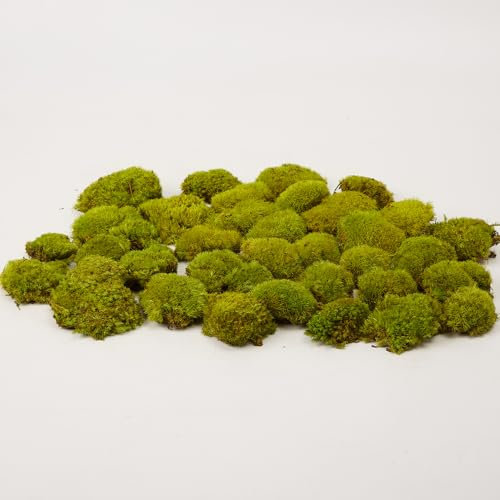 Prefleur konservierte Pflanzen Stange Mooskissen Dutt Kissen Natur Grün Dekorativ Echt Natur Grün DIY Kit Terrarien Gartenarbeit Kunst Wanddekoration Florist Dekor (Green-d, 1.5 sq.ft.)