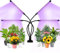 Grow Light, 80LEDs Lamparas Led Cultivo, 4 Cabezales Lámpara de Plantas Led Cultivo Interior con Clip, 3 Modos de Luz 360 ° Ajustable 9 Brillos Luz Plantas Interior con 3/9/12 Horas Temporizador
