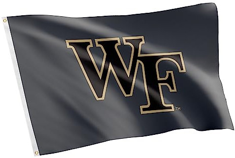 Desert Cactus Wake Forest University Flagge, Dämonen, Diakone, Flaggen, Banner, 100 % Polyester, für drinnen und draußen, 7,6 x 12,7 cm (Stil Z)