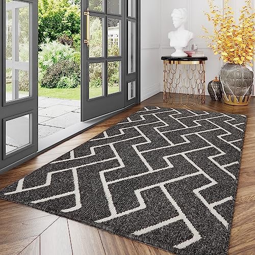 Biscpro Schmutzfangmatte 120 x180 cm, Rutschfestigkeit Fußmatte,Eingangstürmatte Türmatte für Hund,Außen Innen Garten,Teppich,Terrazzo,Haustür,Terrazzo