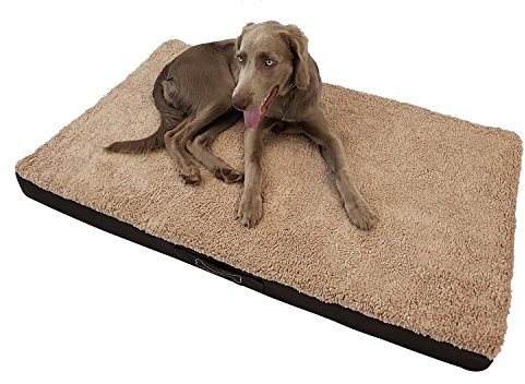 DILUMA Hundebett Benji - orthopädisches Hundekissen - Haustierbett - Hundeliege mit waschbarem Bezug - Hundesofa Beige - 120 x 72 x 10 cm - XL