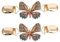 ABOOFAN 2 Stücke Emaille Damen Schal Kragen Pullover Clips Gold Schmetterlinge Strass Cardigan Clip Strickjacke Clips Kette Verschluss Metall Brosche Pin Frauen Geschenke Sweater Bluse Jacke