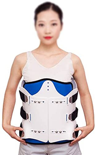 FOOJO Nackenstütze Halsband Lendenorthese Brace | Atmungsaktive Orthese Buckelstütze | zur Linderung von Nacken- und Schulterschmerzen, Freunde der Familie (Color : B)