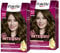 Palette Intensiv Creme Coloration 6-0 Light Brown (2 x 115 ml), permanente Haarfarbe für leuchtende, langanhaltende Farbbrillanz & 100% Grauabdeckung