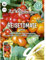 Reisetomate Voyage Samen, Saatgut