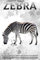 Zebra: Wissenswertes über Zootiere für Kinder #4