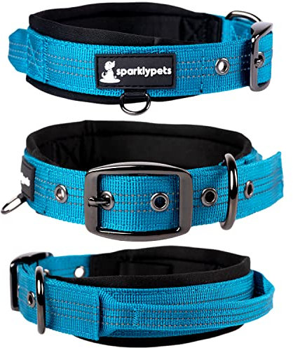 SparklyPets Heavy Duty Dog Collar with Handle for Medium and Large Dogs – Professional Collar with Reflective Stitches, Soft Handle & Nickel-Plated Buckle (Large (18~22), Blue)