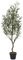 HOME DECO FACTORY, HD0454, Plante Artificielle Olivier 120 cm - Décoration intérieure réaliste, sans Entretien, idéale pour Salons et Bureaux, Style Moderne ou Rustique - Vert