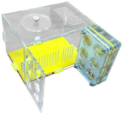 JAYIOLA Ameisenfarm Formicarium Ameisenvilla Als Lehrreiches Bauset Zum Zusammenbauen mit Belüftetem Gehäuse Zum Erforschen des Lebenszyklus Als G, 1.8 cm