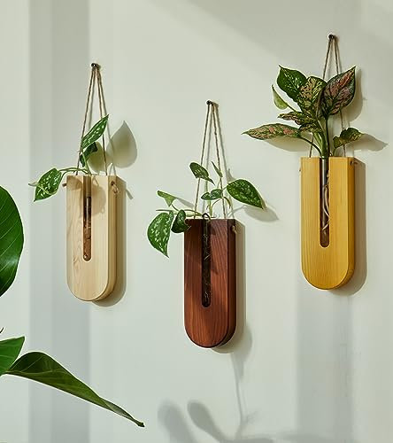 Indoor-Wandpflanzer, Bohemia-Blumenvase, Vermehrungsstation und Wanddekoration für das Wohnzimmer mit Pflanzenwand und Wandvase, DREIER-Set