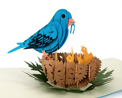 CUTPOPUP Bluebird Card Pop Up, 3D Mothers Day, Birthday Card, Merry Christmas Card- Intricate Design of Bluebird on Nest Makes a Lovely Gift Card for Christmas Day.