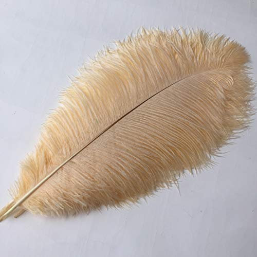 Sowder 16-18inch(40-45cm) Ostrich Feathers Plume for Wedding Centerpieces Home Decoration Pack of 10pcs(champagne)