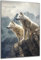 DARO Design - Wand-Bild auf 6mm HDF 84x56 cm 2 weiße Wölfe auf Fels - Wand-Deko Bilder Geschenk
