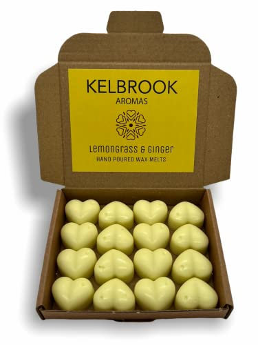 Citronnelle et gingembre – 16 cires de soja coulées à la main, très parfumées, adaptées aux végétaliens, sans plastique ni colorant